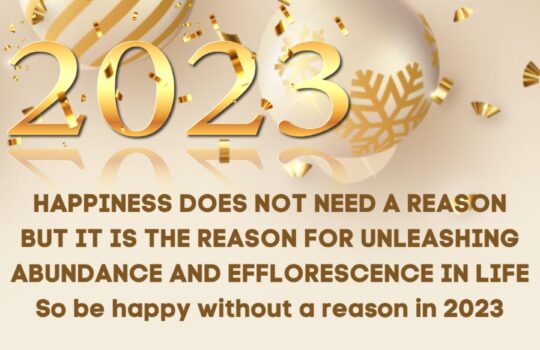 Happy New Year 2023